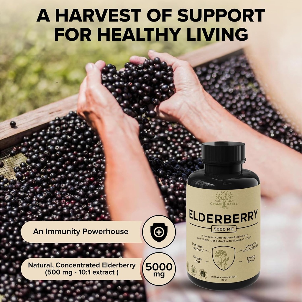 elderberry-with-vitamin-c-zinc-ginger-po-4.jpg