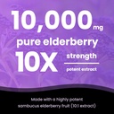 nutrachamps-elderberry-and-2-pack-immune-4.jpg