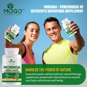 mogo-moringa-capsules--180-ct-boost-ener-6.jpg
