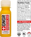 gngr-immunity-sampler-organic-ginger-wel-5.jpg