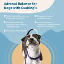 pranapets-adrenal-balance-for-dogs-with--4.jpg