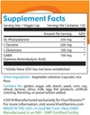 viva-vitamins-pma-positive-mental-attitu-4.jpg