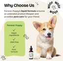 forever-puppy-eyebright-drops-for-dogs---6.jpg