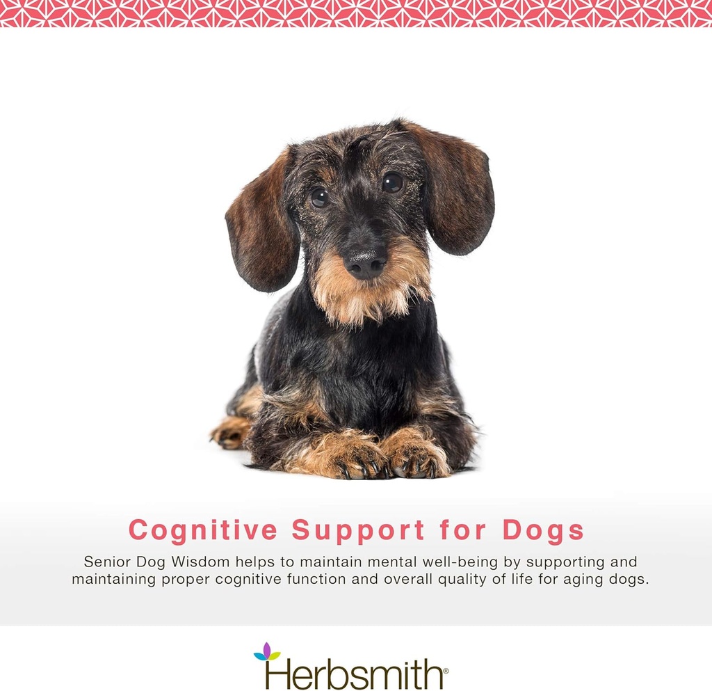 herbsmith-senior-dog-wisdom-dog-dementia-3.jpg