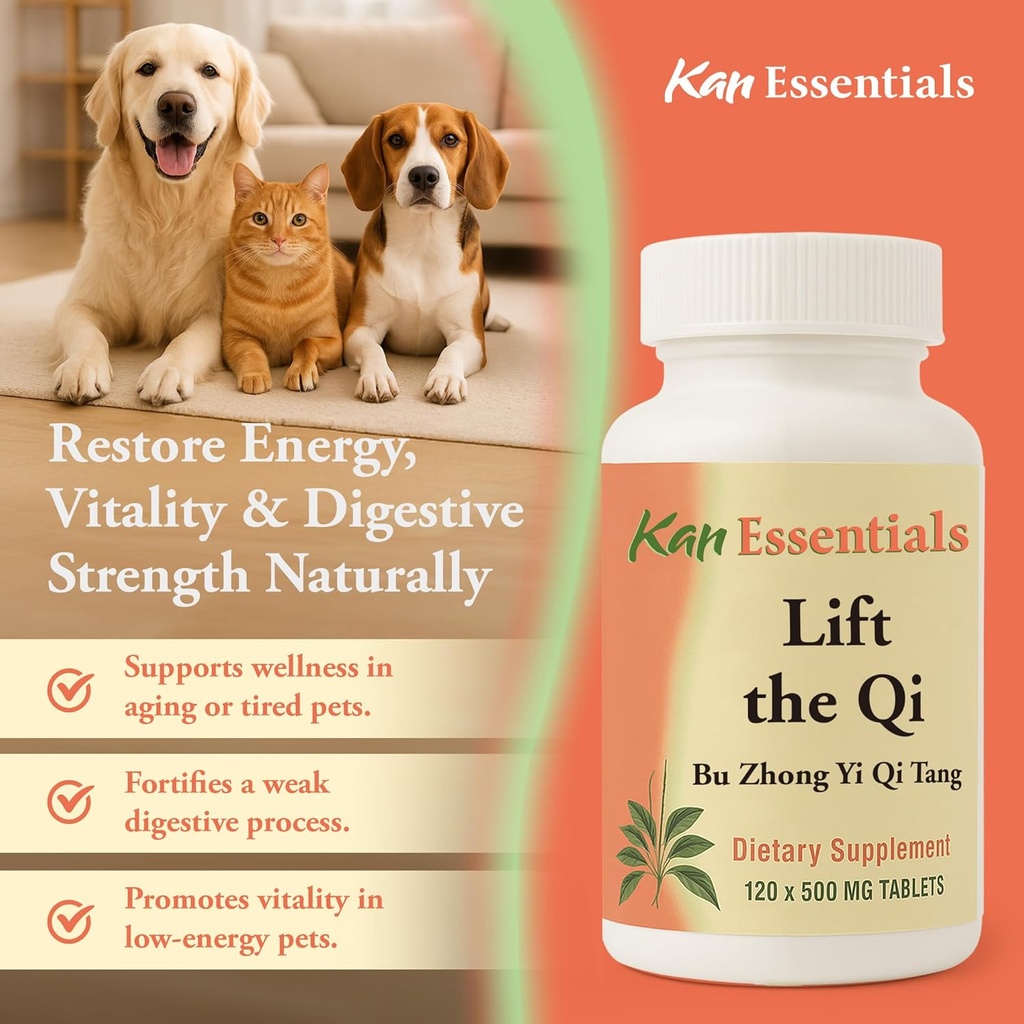 lift-the-qi-120-tabs-by-kan-herbs-by-kan-4.jpg