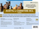 acetyl-l-carnitine-hcl-powder-horse-ener-2.jpg