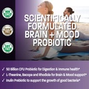 bronson-brain-mood-probiotic-50-billion--3.jpg