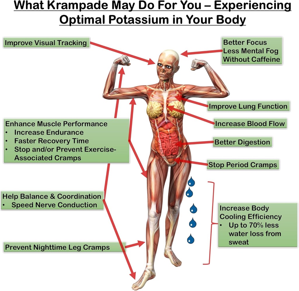 krampade-anti-cramping-potassium-replace-3.jpg