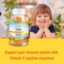 lovita-vegan-vitamin-c-gummies-for-kids--4.jpg