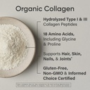 sports-research-organic-collagen-peptide-3.jpg