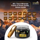 pure-shilajit-resin-most-potent-shilajit-4.jpg