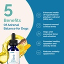 pranapets-adrenal-balance-for-dogs-with--3.jpg