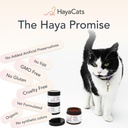 hayacats-l-lysine-powder-for-cats-immune-3.jpg