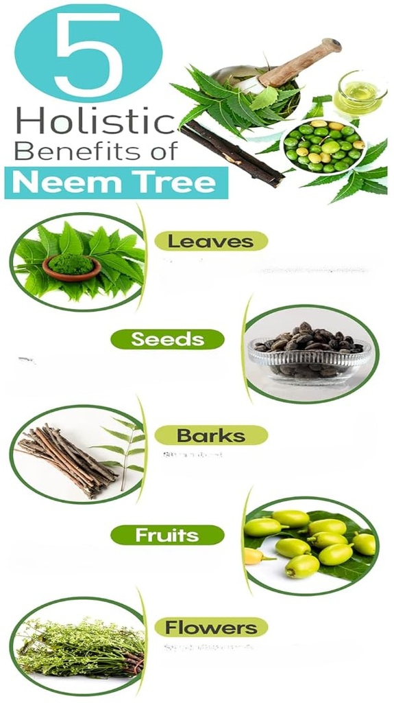 pure-neem-powder-leaves-for-eating-drink-4.jpg