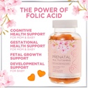 prenatal-vitamin-gummies---essential-nut-6.jpg
