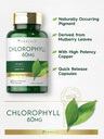 carlyle-chlorophyll-pills-90-capsules-na-3.jpg