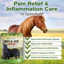 silver-lining-herbs-infla-aid-for-horses-2.jpg