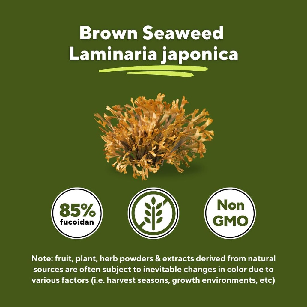 vitapia-pure-fucoidan-85-brown-seaweed-e-4.jpg