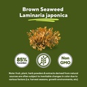 vitapia-pure-fucoidan-85-brown-seaweed-e-4.jpg