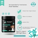 healthy-bite-probiotic-for-dogs---dog-pr-2.jpg
