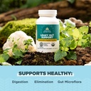 ancient-nutrition-gut-health-supplement--3.jpg