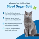 pet-wellbeing-blood-sugar-gold-cats---ho-3.jpg