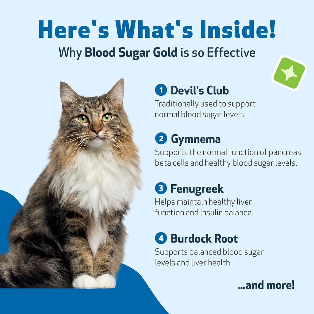 pet-wellbeing-blood-sugar-gold-cats---ho-6.jpg