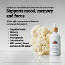 rainbo-brain-health-bundle-lions-mane-mu-3.jpg