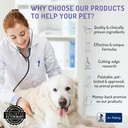 anp-enhance-your-dogs-health-with-mushro-6.jpg