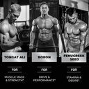 testosterone-supplement-for-men-for-musc-4.jpg