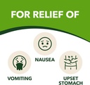 gravol-ginger-tablets-for-upset-stomach--2.jpg