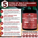 wholesome-wellness-multi-collagen-protei-4.jpg