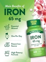 natures-truth-iron-tablets-65mg-240-coun-5.jpg
