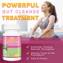 candida-complex-boost-your-immune-system-3.jpg