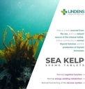 lindens-kelp-tablets-100-x-500mg-high-po-5.jpg