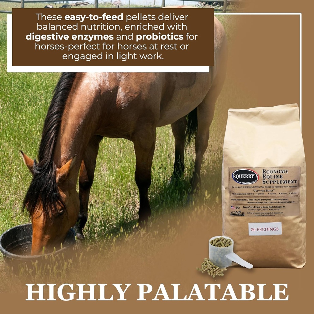 equerrys-economy-equine-supplement---hor-3.jpg