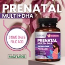 prenatal-vitamins-for-women---multivitam-2.jpg