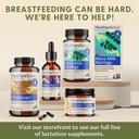 motherlove-more-milk-moringa-135-liquid--5.jpg