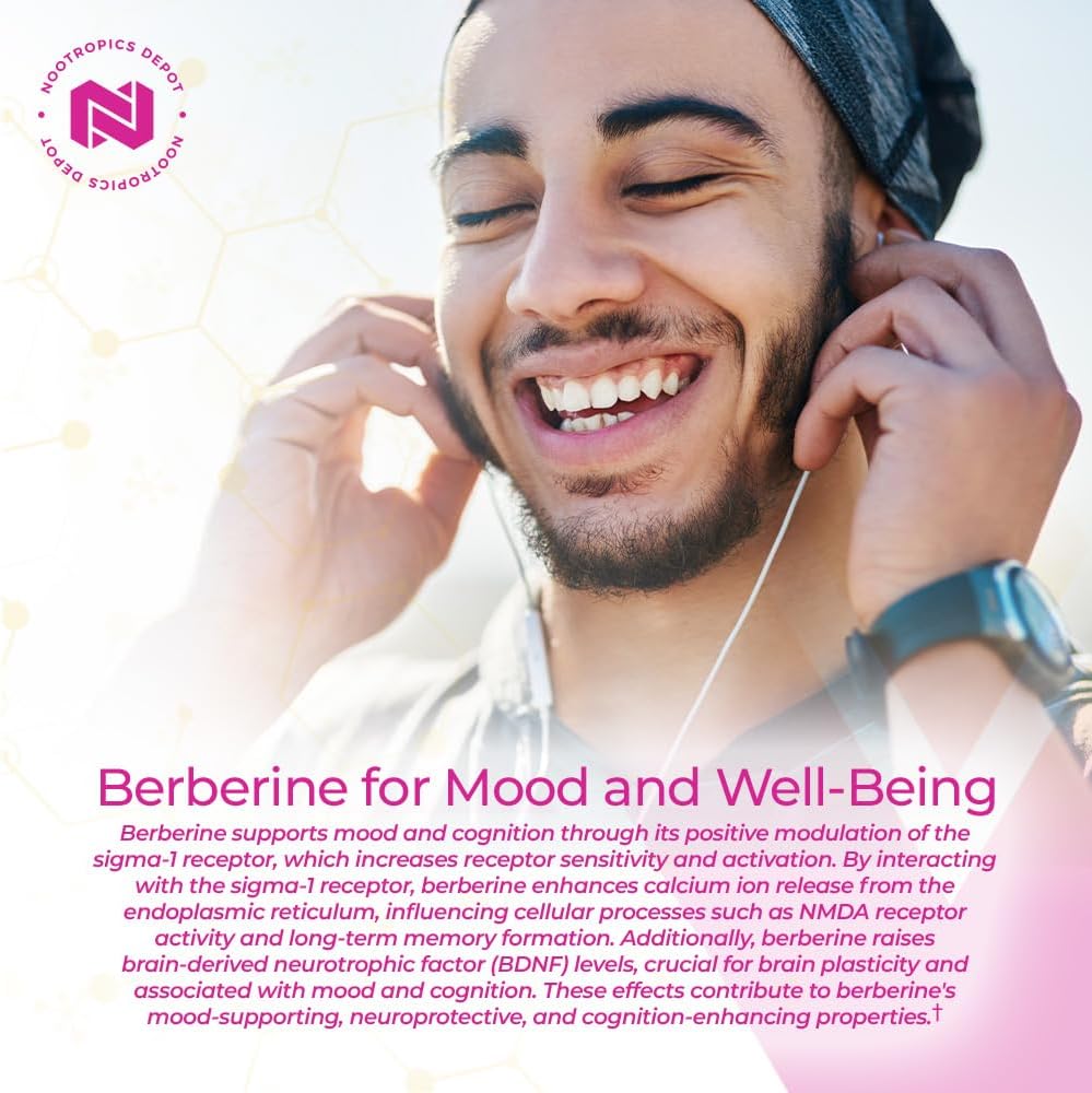 nootropics-depot-berberine-hcl-silymarin-4.jpg