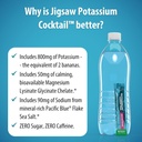 jigsaw-health-potassium-cocktail-formerl-6.jpg