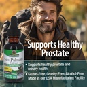 natures-answer-alcohol-free-saw-palmetto-4.jpg