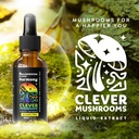 6-blend-mushroom-liquid-extract-us-grown-6.jpg