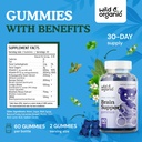 wild-organic-brain-support-gummies---foc-3.jpg