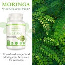 organic-moringa-powder-capsules---vegan--5.jpg