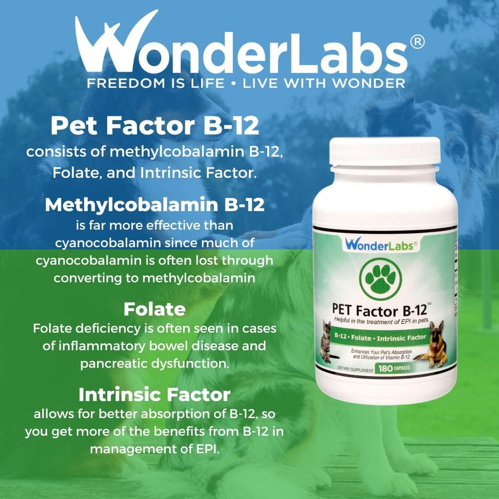 wonder-laboratories-pet-factor-b-12-vita-4.jpg