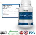 well-of-life-ashwagandha-650mg-black-ext-3.jpg