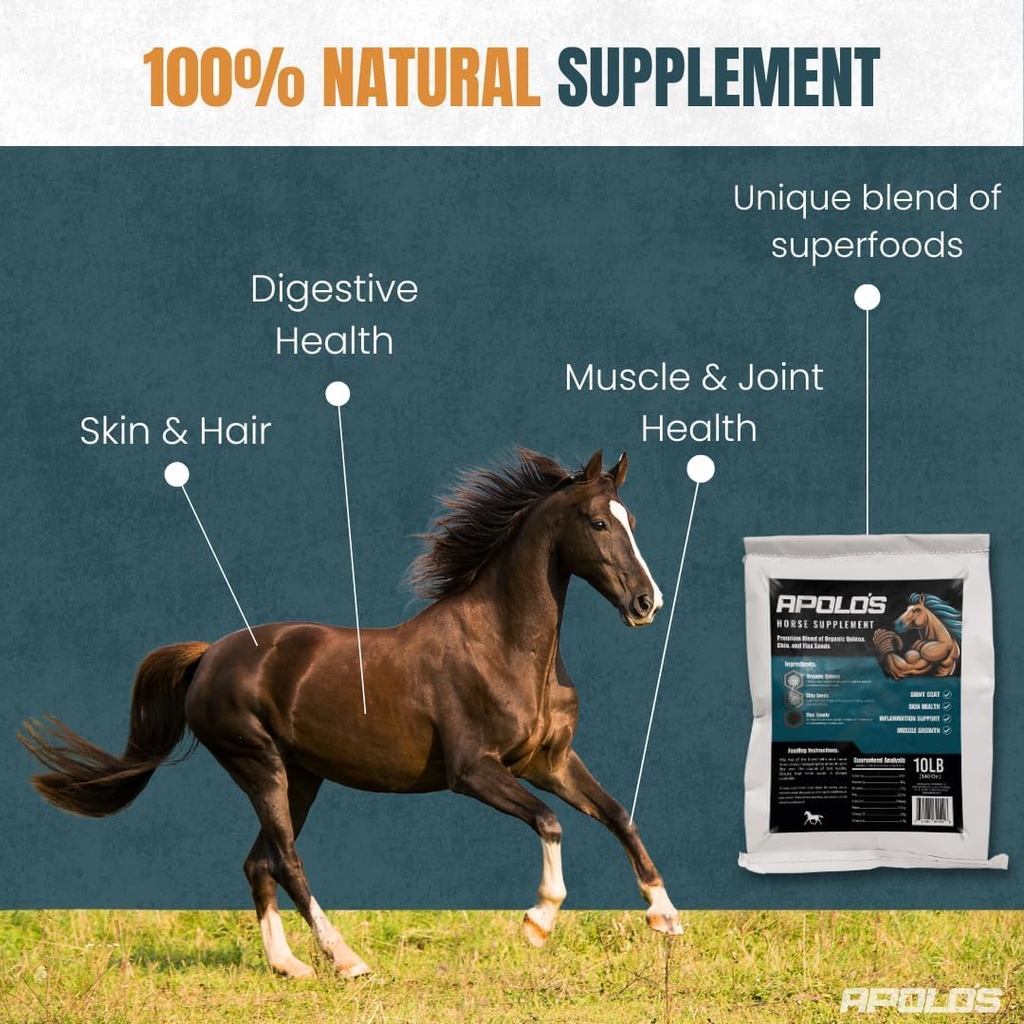 greenfit-apolos-100-natural-horse-supple-2.jpg