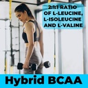 hybrid-bcaa-1000mg-bcaas-amino-acids-sup-4.jpg
