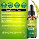 extra-strength-2000mg-mullein-drops-for--6.jpg
