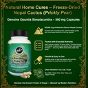 prickly-pear-nopal-cactus-supplement-com-6.jpg